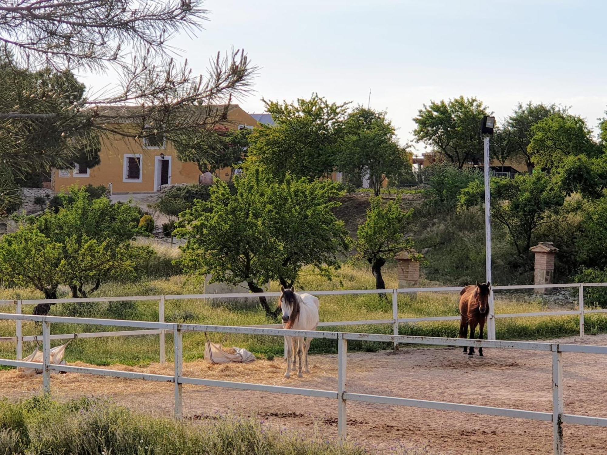 Complejo Rural Las Lomas De 비아르 외부 사진